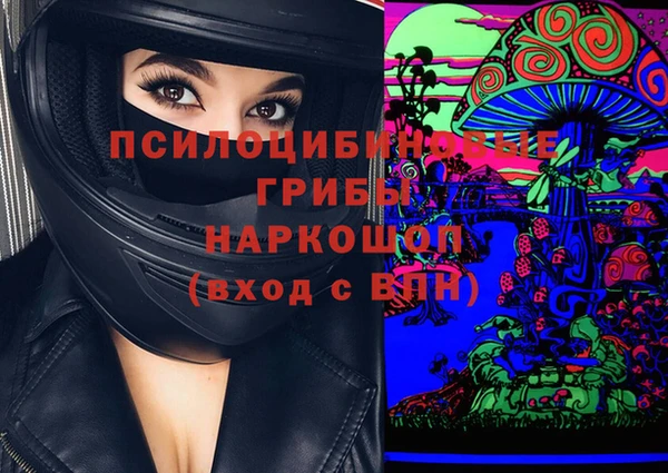 apvp Верхний Тагил